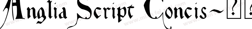 Anglia Script Concis字体转换